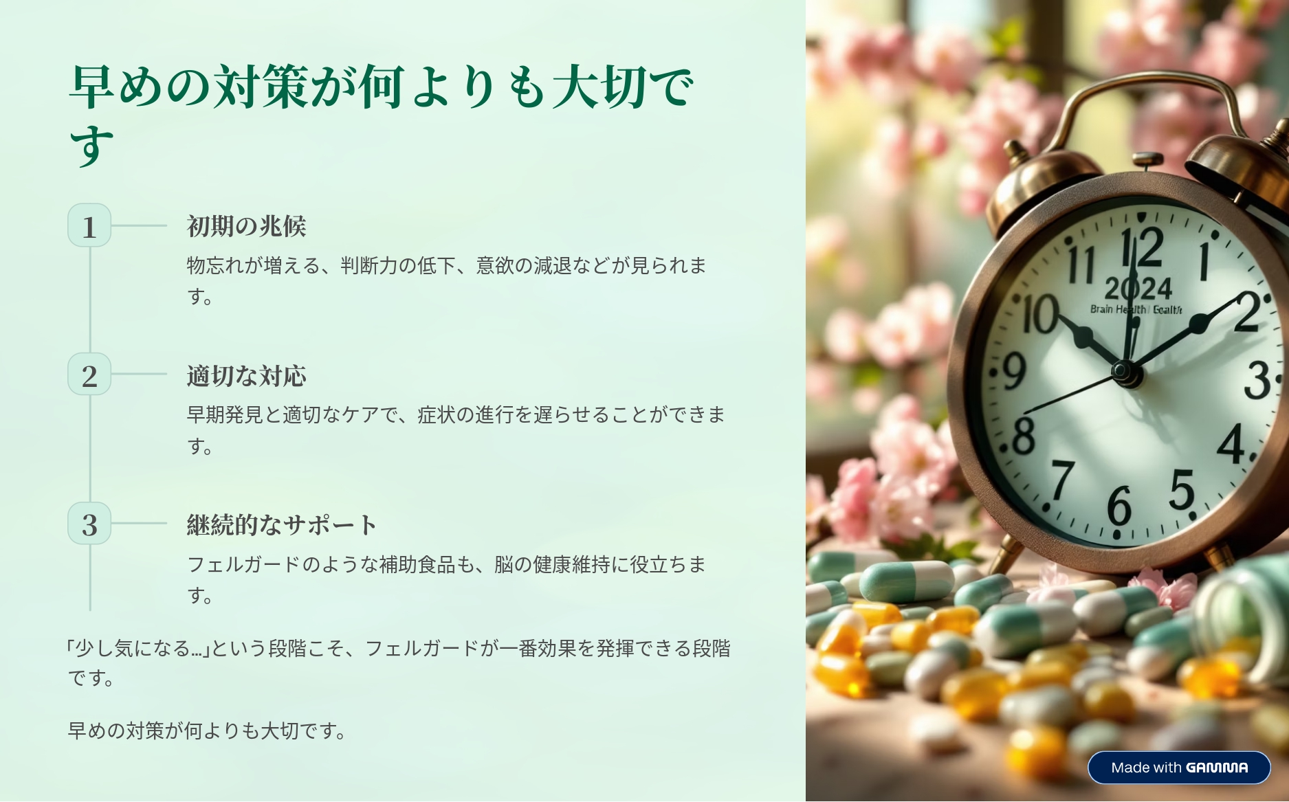 認知機能サポートサプリ フェルガード